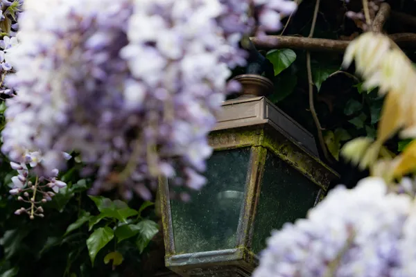 Finlaystone Country Park