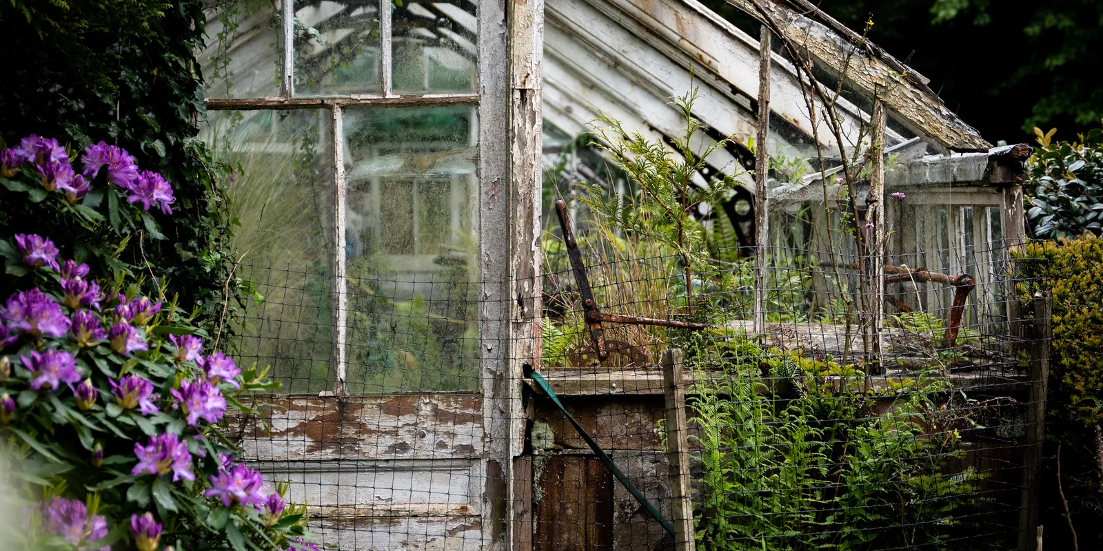 Walking at Finlaystone Country Park in Scotland