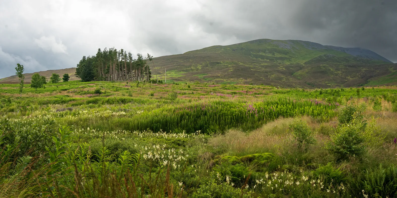 Schiehallion — Route Guide