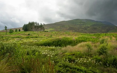Hiking Schiehallion Munro in Loch Tay to Rannoch Moor, Scotland
