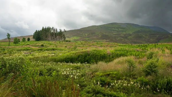 Hiking Schiehallion Munro in Loch Tay to Rannoch Moor, Scotland