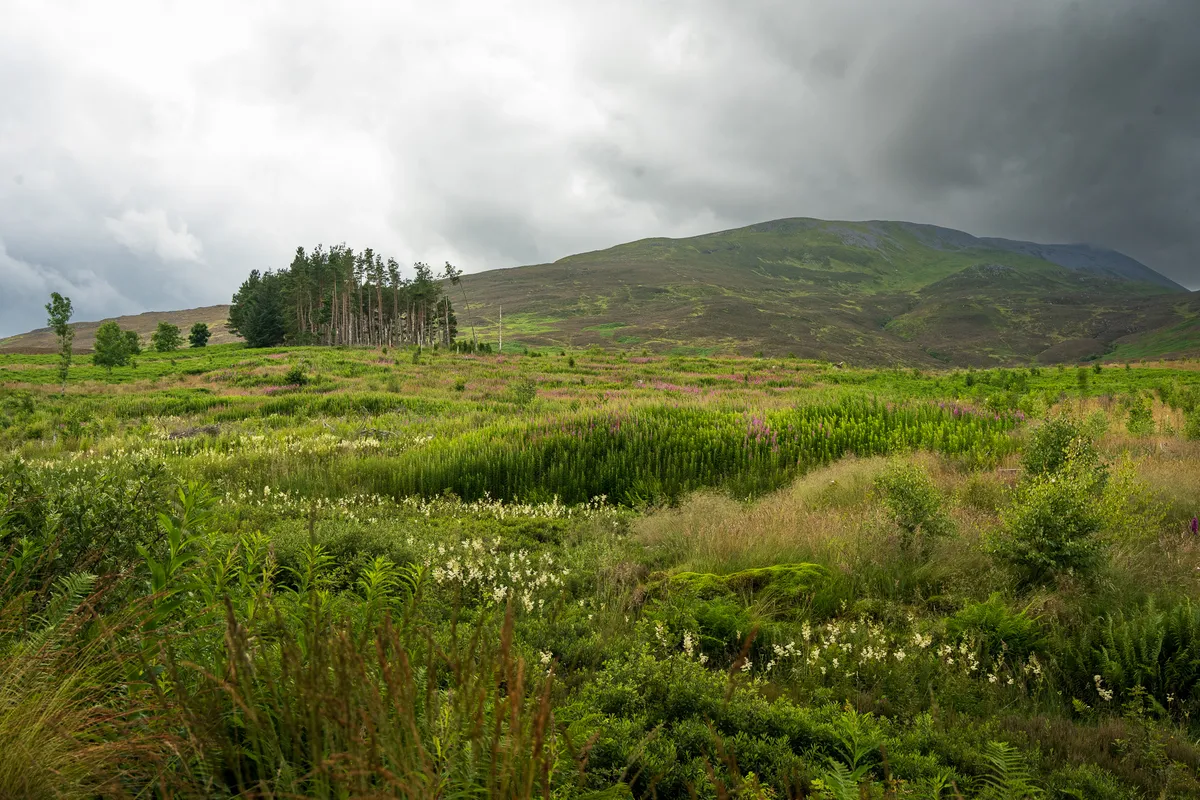 Schiehallion - Hike Report