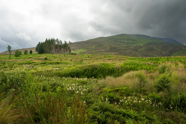 Our Hike Report for Schiehallion