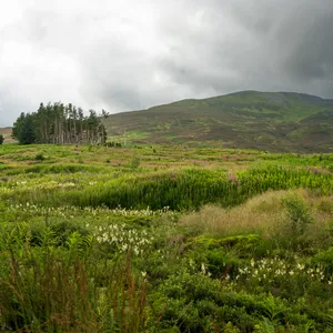 Schiehallion — Route Guide