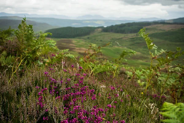 Schiehallion — Route Guide