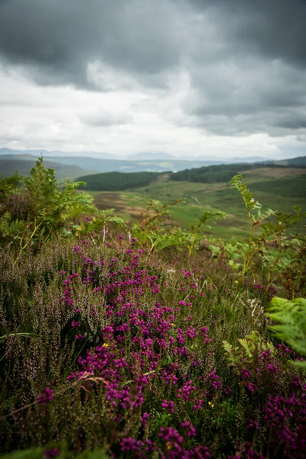 Schiehallion - Hike Report