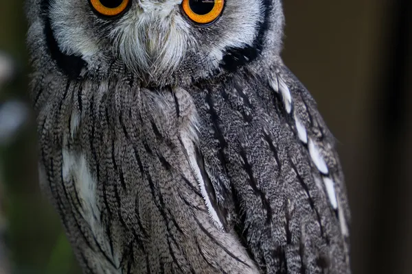 Finlaystone Country Park