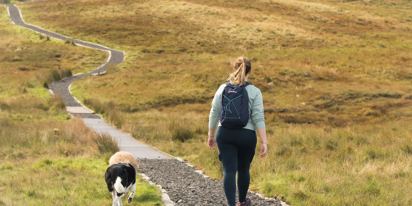 Windy Hill, Muirshiel Country Park