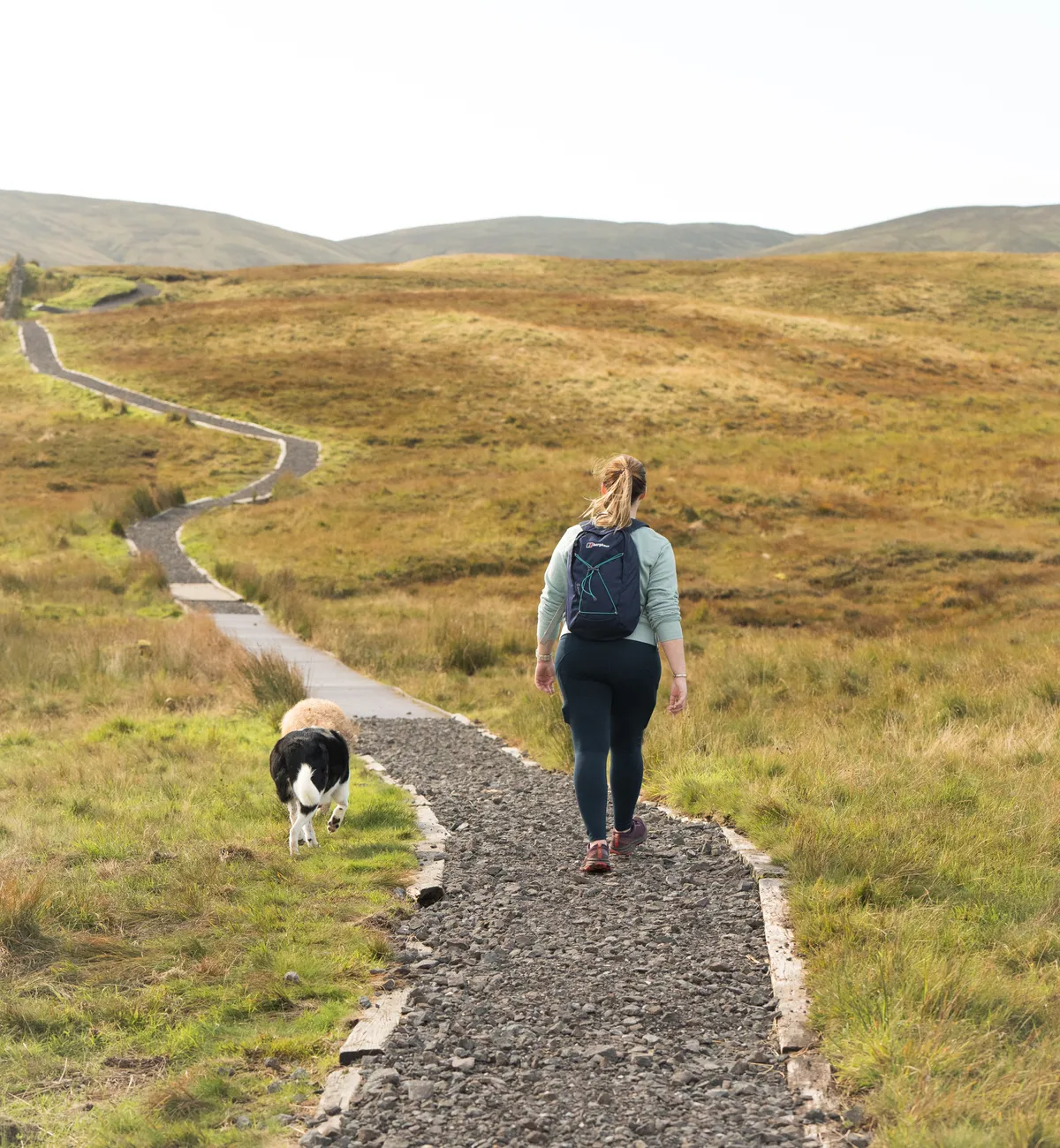 Windy Hill - a fantastic beginner hike not to far from Glasgow!