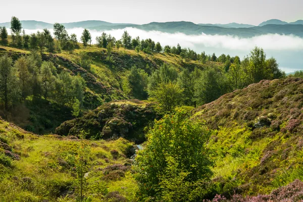 Ben Lawers and Beinn Ghlas — Route Guide