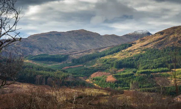 Ben Lui hiking guide: Remote Munro in Glen Fyne with 1,000m ascent. Challenging terrain, stunning Highland views, and wild mountain scenery. Perfect for experienced hikers seeking solitude.