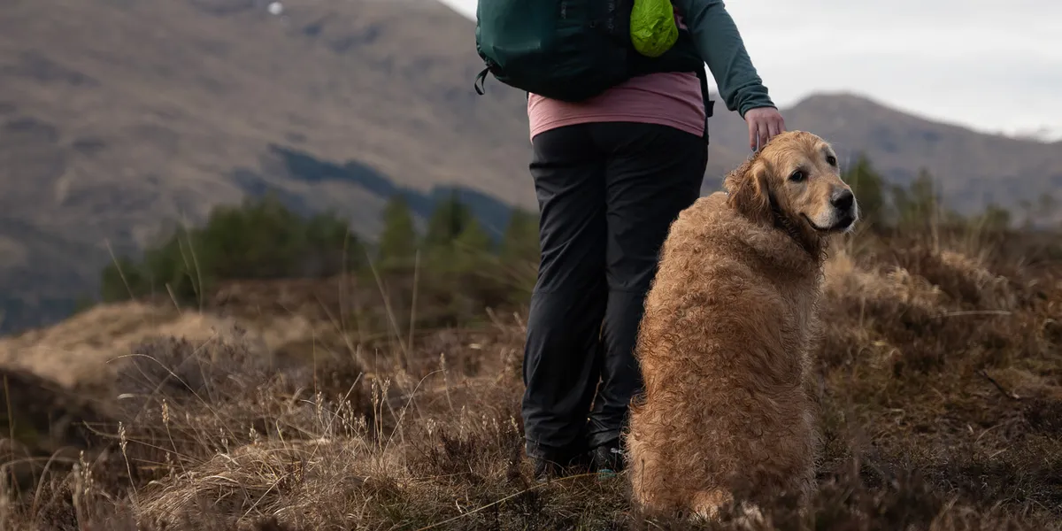 Exhausted but satisfied — back at the van