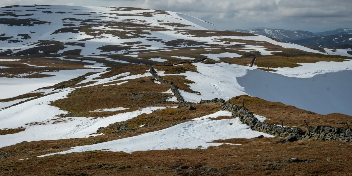 The path looking towards Glas Maol