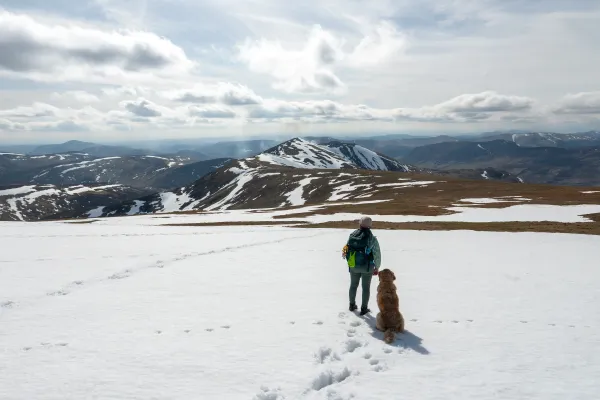 Càrn an Tuirc, Cairn of Claise, Glas Maol and Creag Leacach — 4-Munro Circuit