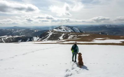 Hiking Càrn an Tuirc, Cairn of Claise, Glas Maol and Creag Leacach — 4-Munro Circuit Munro in Glen Shee to Mount Keen, Scotland