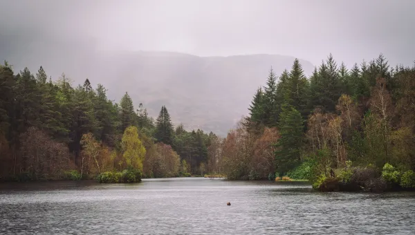 The tranquil Glencoe Lochan surrounded by forest, Glencoe, Scotland