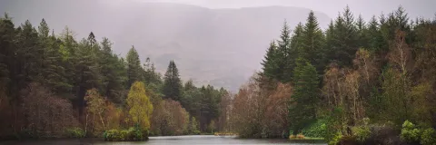 The tranquil Glencoe Lochan surrounded by forest, Glencoe, Scotland