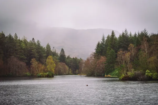 The tranquil Glencoe Lochan surrounded by forest, Glencoe, Scotland