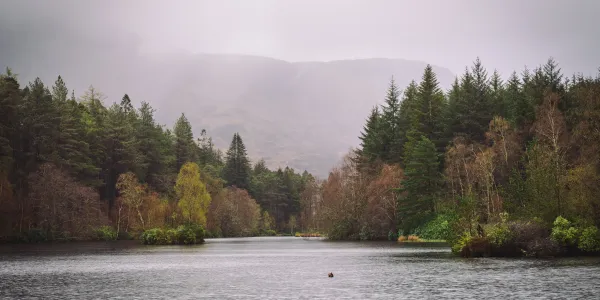 The tranquil Glencoe Lochan surrounded by forest, Glencoe, Scotland