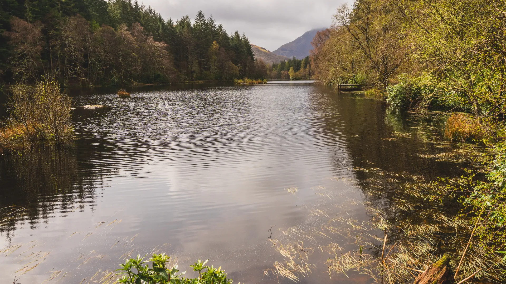 The forest path around Glencoe Lochan
