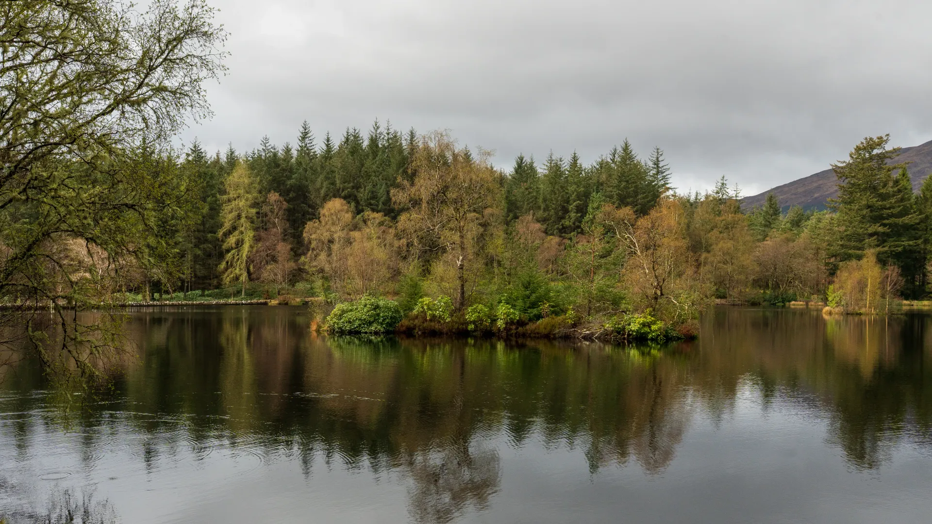 Glencoe Lochan in the rain
