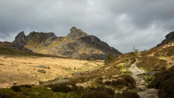 Ben Arthur — The Cobbler