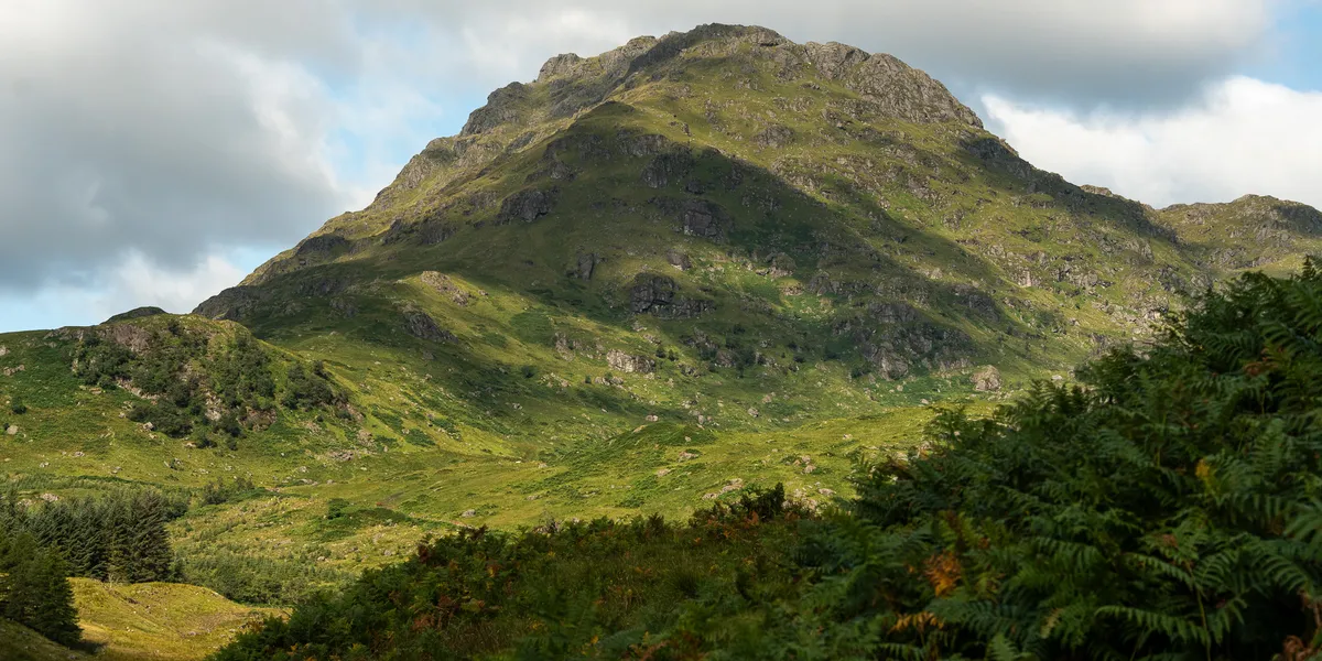 Looking up at the slopes of Ben Vane from the approach road