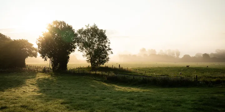 Morning Light over Callander