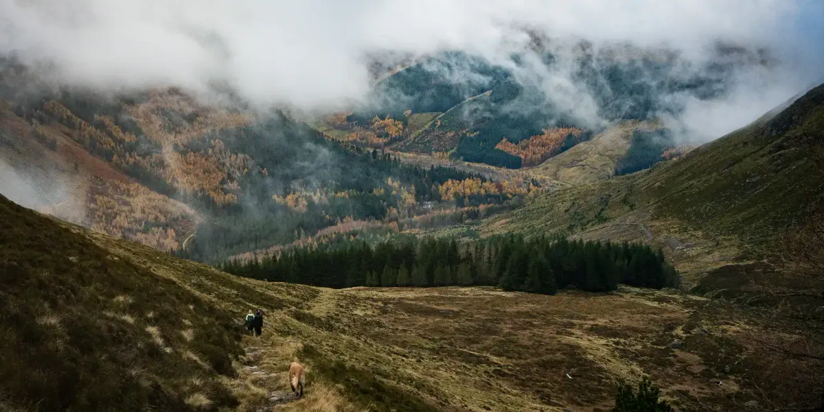 Misty views emerging as we descended below the clag