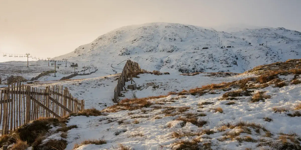 Looking up at the ski slopes from the start