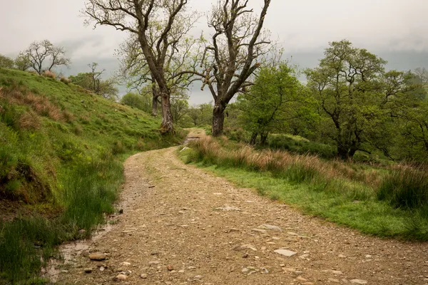 Ben Vorlich and Stuc A' Chroin — Route Guide