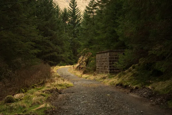 Glen Loin and Coiregrograin Circuit From Inveruglas