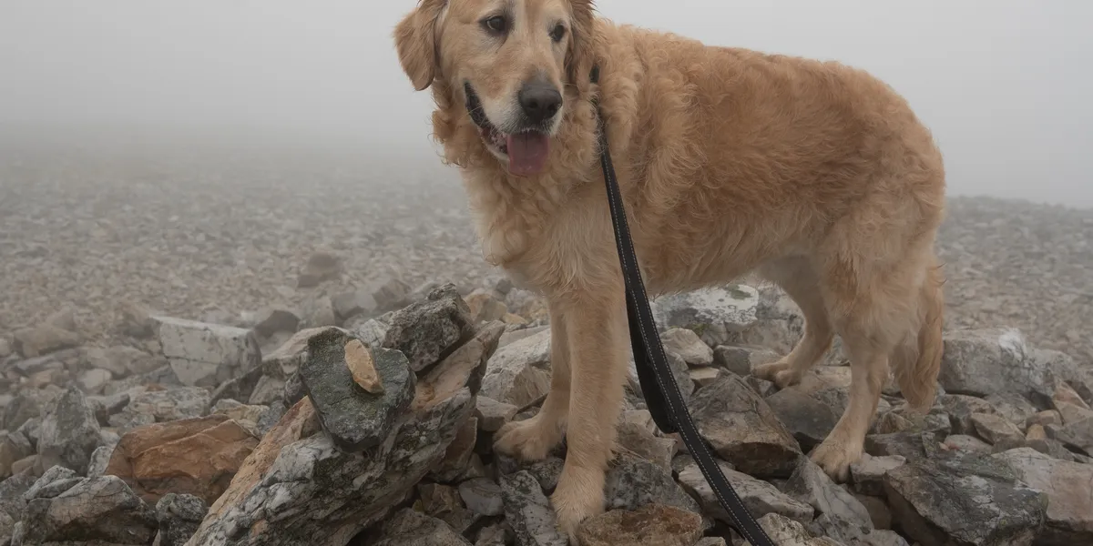 The view from the ascent of Carn Aosda