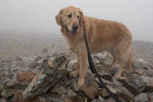 The Cairnwell Munros — Route Guide