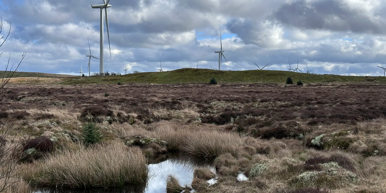 Walking at Whitelee Windfarm - Eaglesham in Scotland