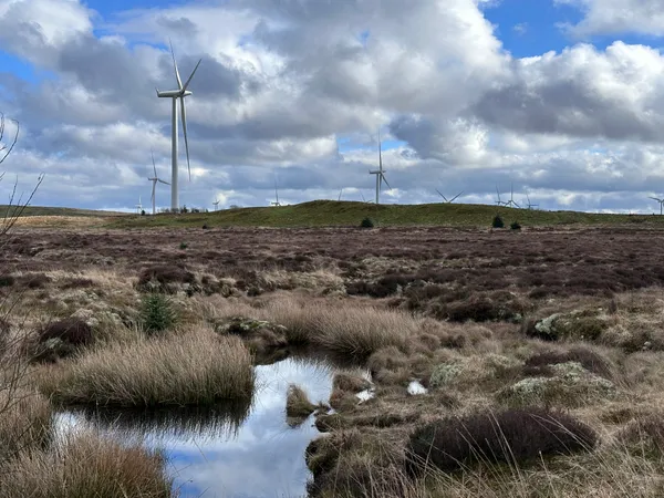 A expansive set of paths and trails through the Whitelee Windfarm, with a visitor centre and cafe.