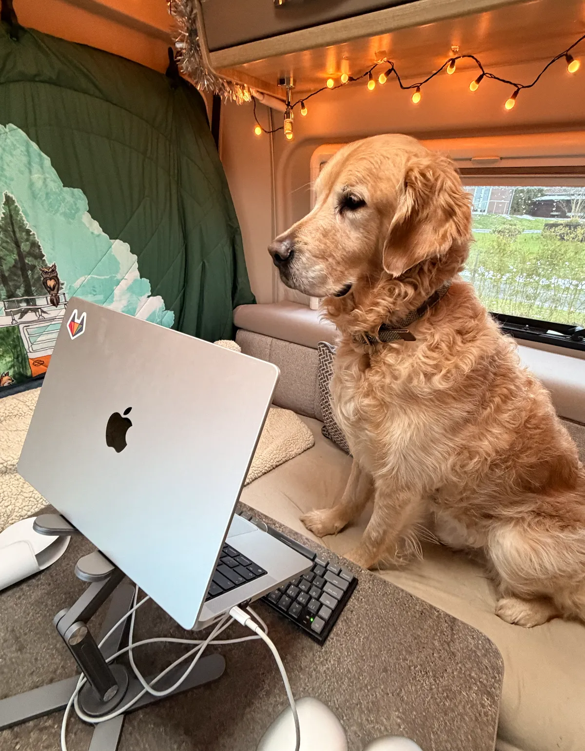 The blanket hung up at the back whilst Lewis is busy working