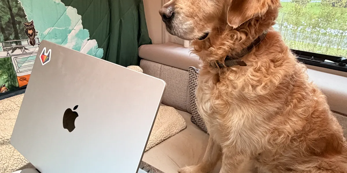 The blanket hung up at the back whilst Lewis is busy working